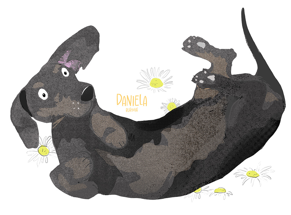 ilustrace Daniela-design